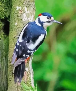 Aesthetic The Great Spotted Woodpecker 5D Diamond Painting