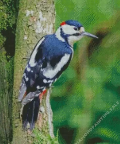 Aesthetic The Great Spotted Woodpecker 5D Diamond Painting