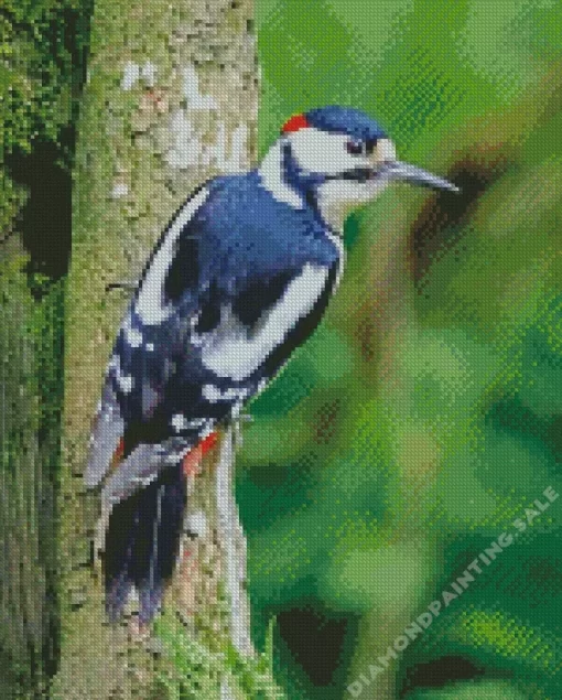 Aesthetic The Great Spotted Woodpecker 5D Diamond Painting