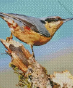 Aesthetic Female bird 5D Diamond Painting