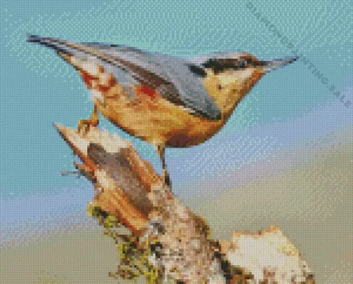 Aesthetic Female bird 5D Diamond Painting