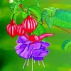 Aesthetic Fuchsia Art 5D Diamond Painting