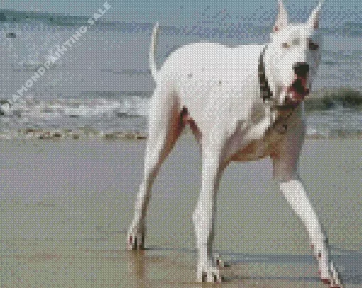 Aesthetic Great White Dane 5D Diamond Painting