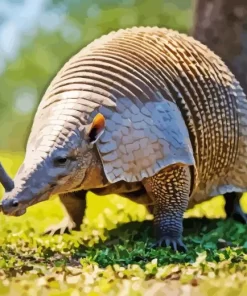 An Armadillo 5D Diamond Painting