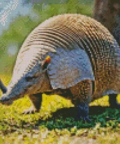 An Armadillo 5D Diamond Painting