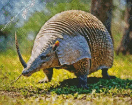 An Armadillo 5D Diamond Painting