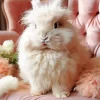 Angora Rabbit 5D Diamond Painting