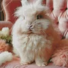 Angora Rabbit 5D Diamond Painting