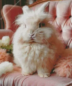 Angora Rabbit 5D Diamond Painting