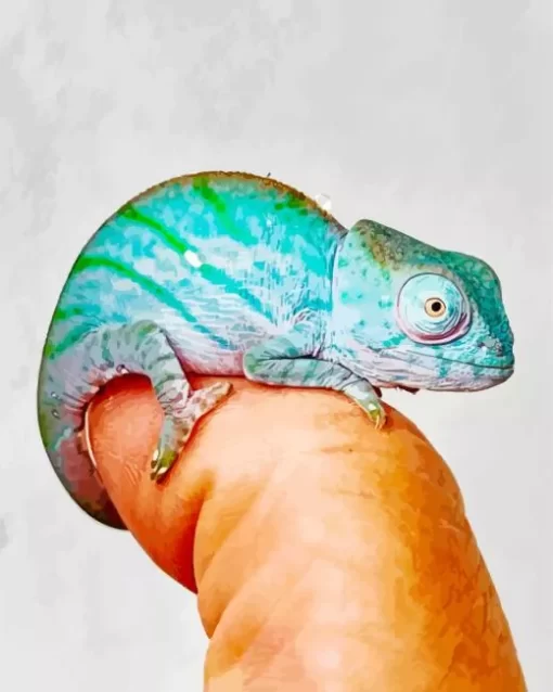 Baby Chameleon 5D Diamond Painting