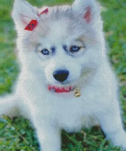 Baby Husky 5D Diamond Painting