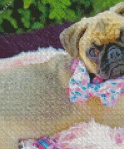 Baby Pug 5D Diamond Painting