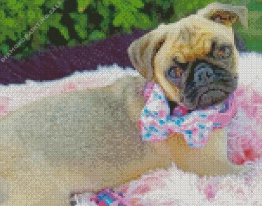 Baby Pug 5D Diamond Painting