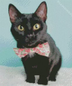 Black Tie Cat 5D Diamond Painting