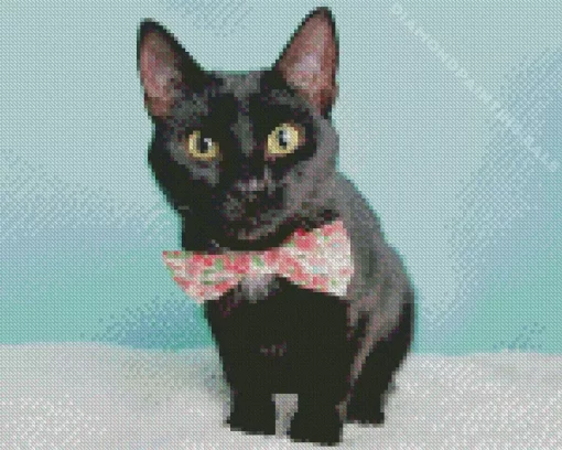 Black Tie Cat 5D Diamond Painting