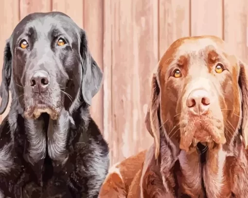 Black Vs Chocolate Lab 5D Diamond Painting