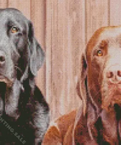 Black Vs Chocolate Lab 5D Diamond Painting