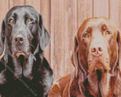 Black Vs Chocolate Lab 5D Diamond Painting