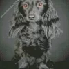 Black Wiener Dog Long Hair 5D Diamond Painting