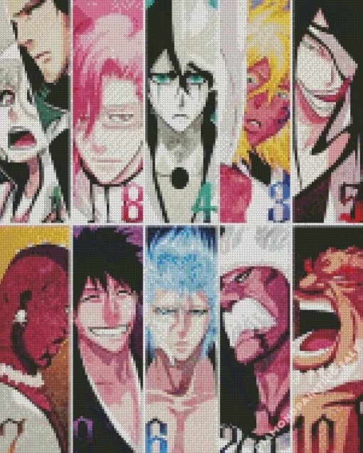 Bleach Arrancar Numbers 5D Diamond Painting