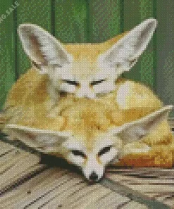 Blond Foxes 5D Diamond Painting