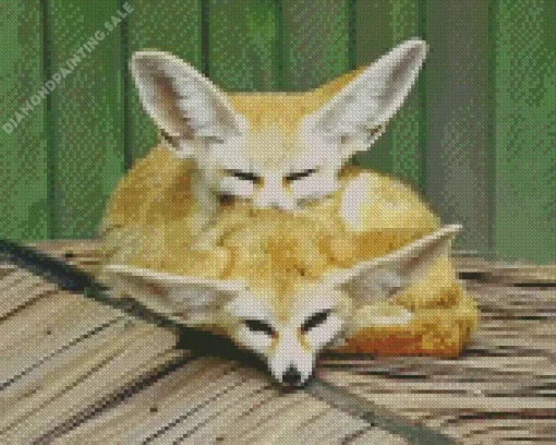 Blond Foxes 5D Diamond Painting