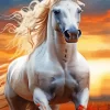 Blond Hair Horse 5D Diamond Painting