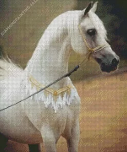 Blonde Arabian Horse 5D Diamond Painting