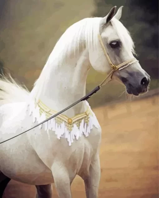 Blonde Arabian Horse 5D Diamond Painting