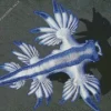 Glaucus Atlanticus 5D Diamond Painting