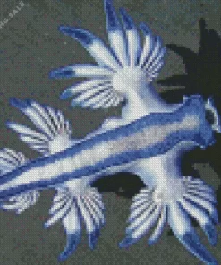 Glaucus Atlanticus 5D Diamond Painting