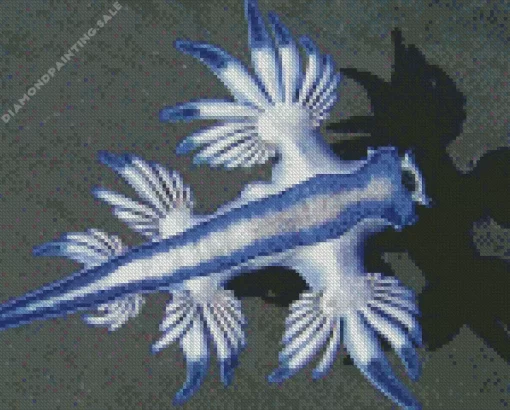 Glaucus Atlanticus 5D Diamond Painting