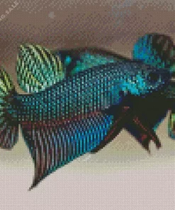 Green Betta Fish 5D Diamond Painting