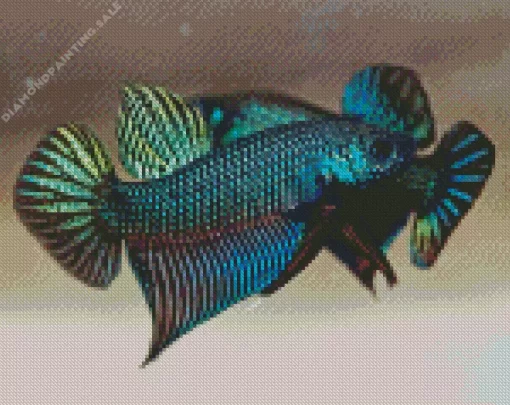 Green Betta Fish 5D Diamond Painting