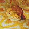 Yellow Python Snake 5D Diamond Painting