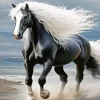 Horse With Blond Hair 5D Diamond Painting