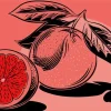 Illustration Blood Orange 5D Diamond Painting