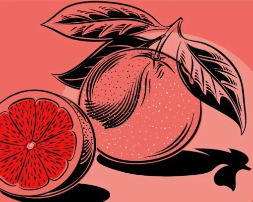 Illustration Blood Orange 5D Diamond Painting