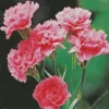 Pink Blooming Carnation 5D Diamond Painting