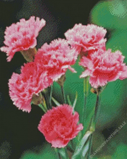 Pink Blooming Carnation 5D Diamond Painting