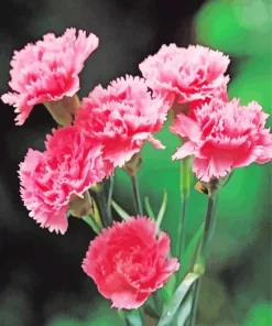 Pink Blooming Carnation 5D Diamond Painting