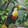 Aesthetic Toucan Art Diamond Painting