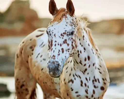 Appaloosa Leopard 5D Diamond Painting