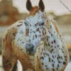 Appaloosa Leopard 5D Diamond Painting