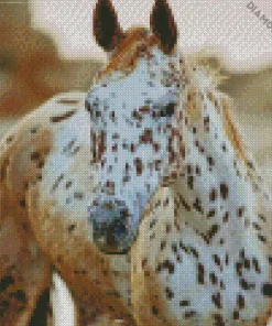 Appaloosa Leopard 5D Diamond Painting