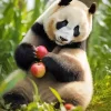 Apples Panda 5D Diamond Painting