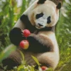 Apples Panda 5D Diamond Painting