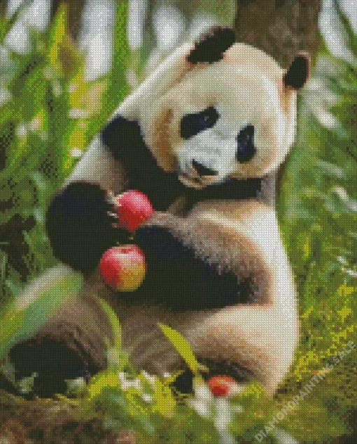 Apples Panda 5D Diamond Painting