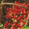 Basket Of Strawberries 5D Diamond Painting