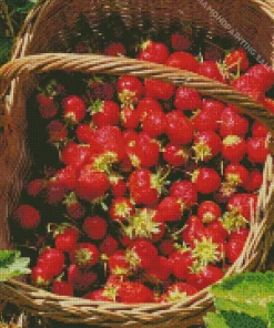 Basket Of Strawberries 5D Diamond Painting